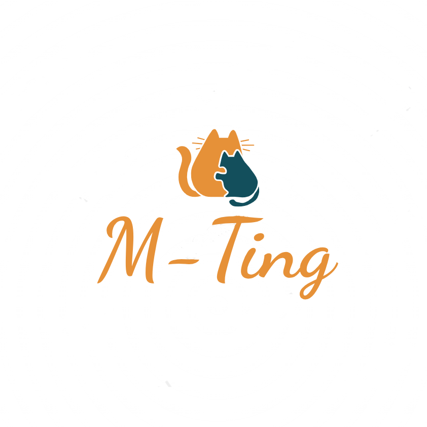 M-Ting ประเทศไทย ร้านค้าออนไลน์อย่างเป็นทางการ | ช้อปเลยบน Lazada