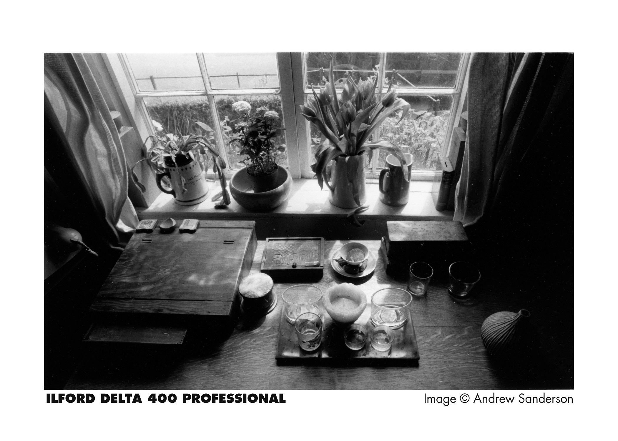 ภาพที่ให้รายละเอียดเกี่ยวกับ ฟิล์มขาวดำ ILFORD Delta 400 Professional 120 Black and White Film Medium Format ฟิล์ม
