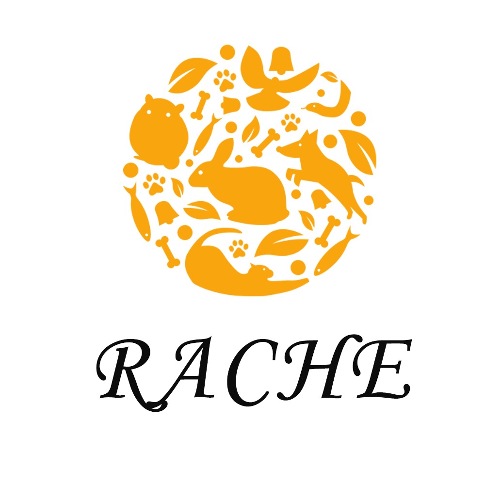 Shop online with Rache_Shop01 now! Visit Rache_Shop01 on Lazada.